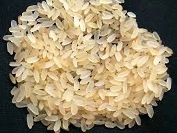 Short Grain Rice