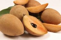 Sapodilla