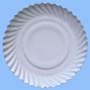 REGULAR CLASSIC Paper DISH