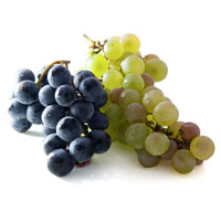 Fresh Grapes