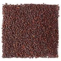 Brown Mustard Seeds