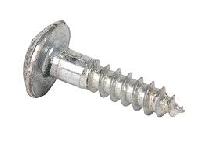 iron screw