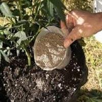 micro nutrient fertilizer