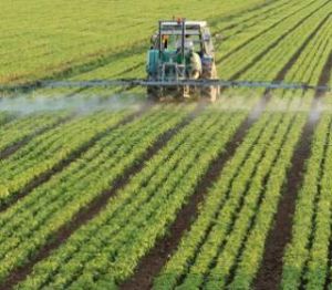 Non CIBRC Pesticides