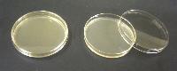 agar plate