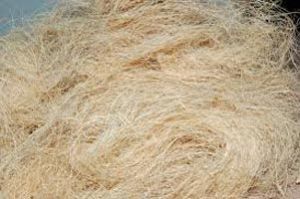 White Coir Fibre