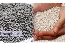 Single Super Phosphate