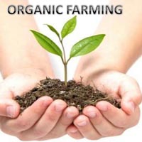 Organic Farming Consultancy