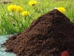 Organic Manure