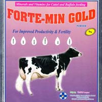 Forte-Min Gold Powder