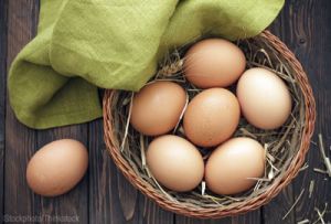 Brown Poultry Eggs