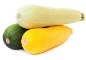 Fresh Squash