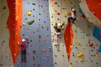 climbing wall