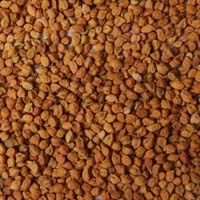 Indian Pulses