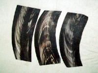 Buffalo Horn Plates