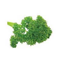 Parsley Leaves