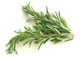 Rosemary Leaves