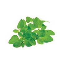 Sweet Marjoram Leaves