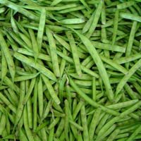 Fresh Guar Beans