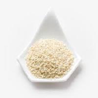 Sesame Seeds