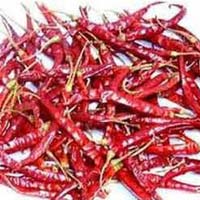 273 Dried Red Chilli