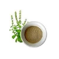 Tulsi Extract