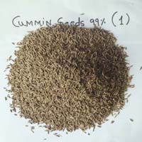 Cumin Seed