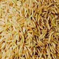 Organic Basmati Rice