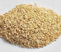 Sesame Seeds