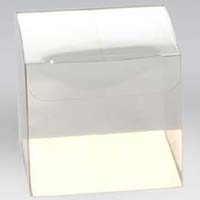 PVC Cartons