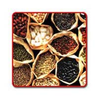 Indian Pulses