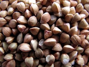 buckwheat kernels