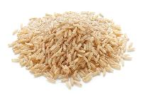 Rice Grain