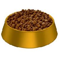 Small Breed Dogs Food Bowl