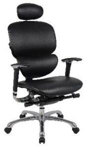 Ergonomic Chair