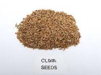 Cumin