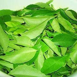 Fresh Curry Leaves