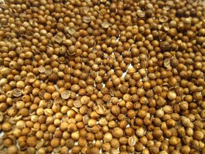 Coriander Seeds