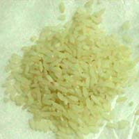 IR 20 Rice