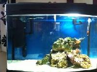 fish aquarium box