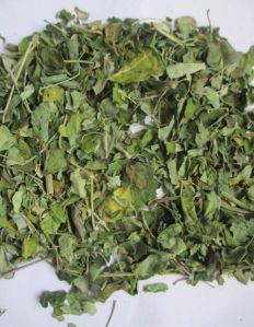 Dried Moringa Oleifera Leaves