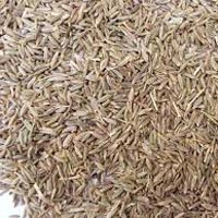 Cumin Seeds