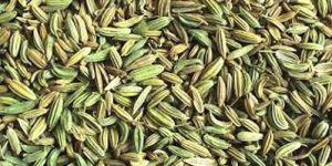 Fennel Seeds