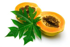 Papaya