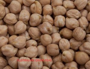 Australian Gram Peas