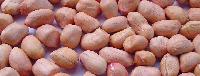 indian oil seeds like groundnut kernel and sesame seeds