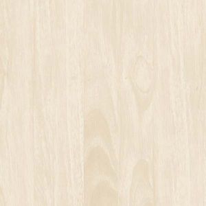 SOLUBLE SALT  IVORY SUPER GLOSSY VITRFIED TILES FROM INDIA