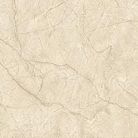 SOLUBLE SALT  PLAIN IVORY PORCELAIN TILES FROM INDIA