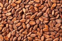 Cocoa Beans