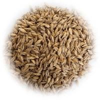 grain seeds